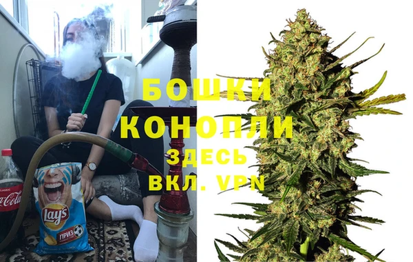 PSILOCYBIN Жердевка